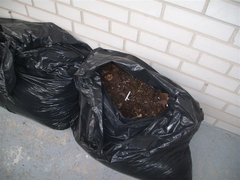 Christopher Greaves Winterizing The Vermicomposter 2009_GEDC0004.JPG